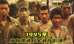 日本骚视频,尺度惊人，背后真相令人咋舌